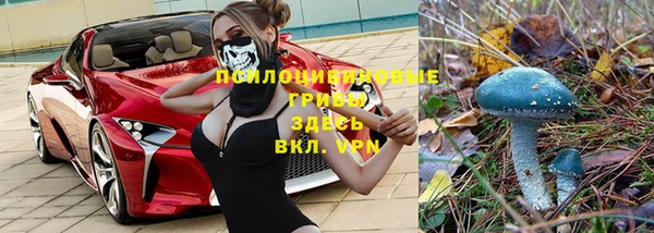 ECSTASY Саяногорск