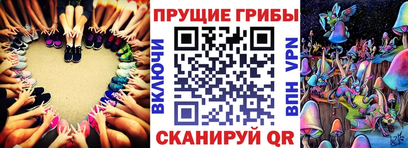 Псилоцибиновые грибы прущие грибы Сосенский